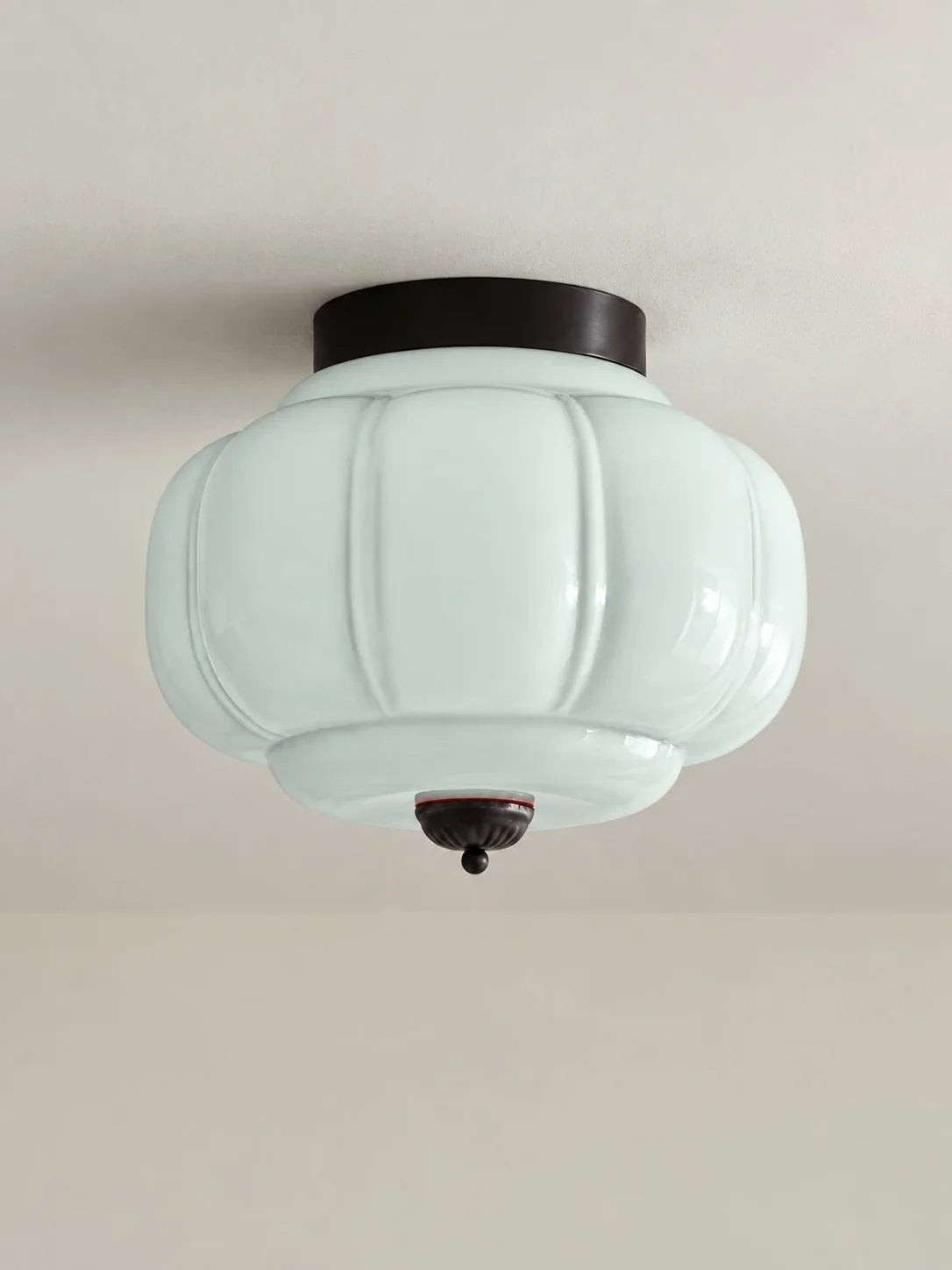 Elegant Modern Flush Mount Ceiling Light Fixture