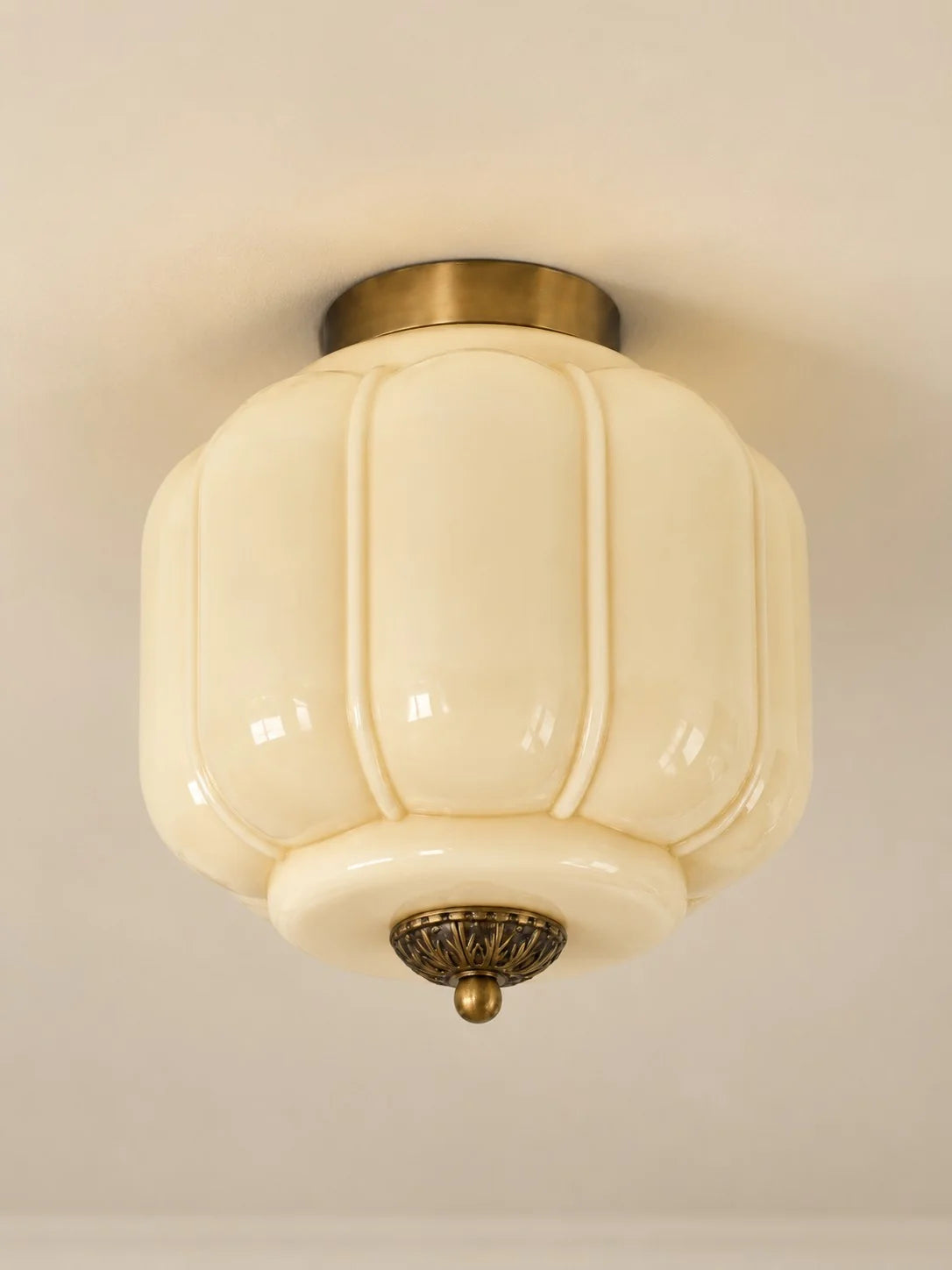 Elegant Modern Flush Mount Ceiling Light Fixture
