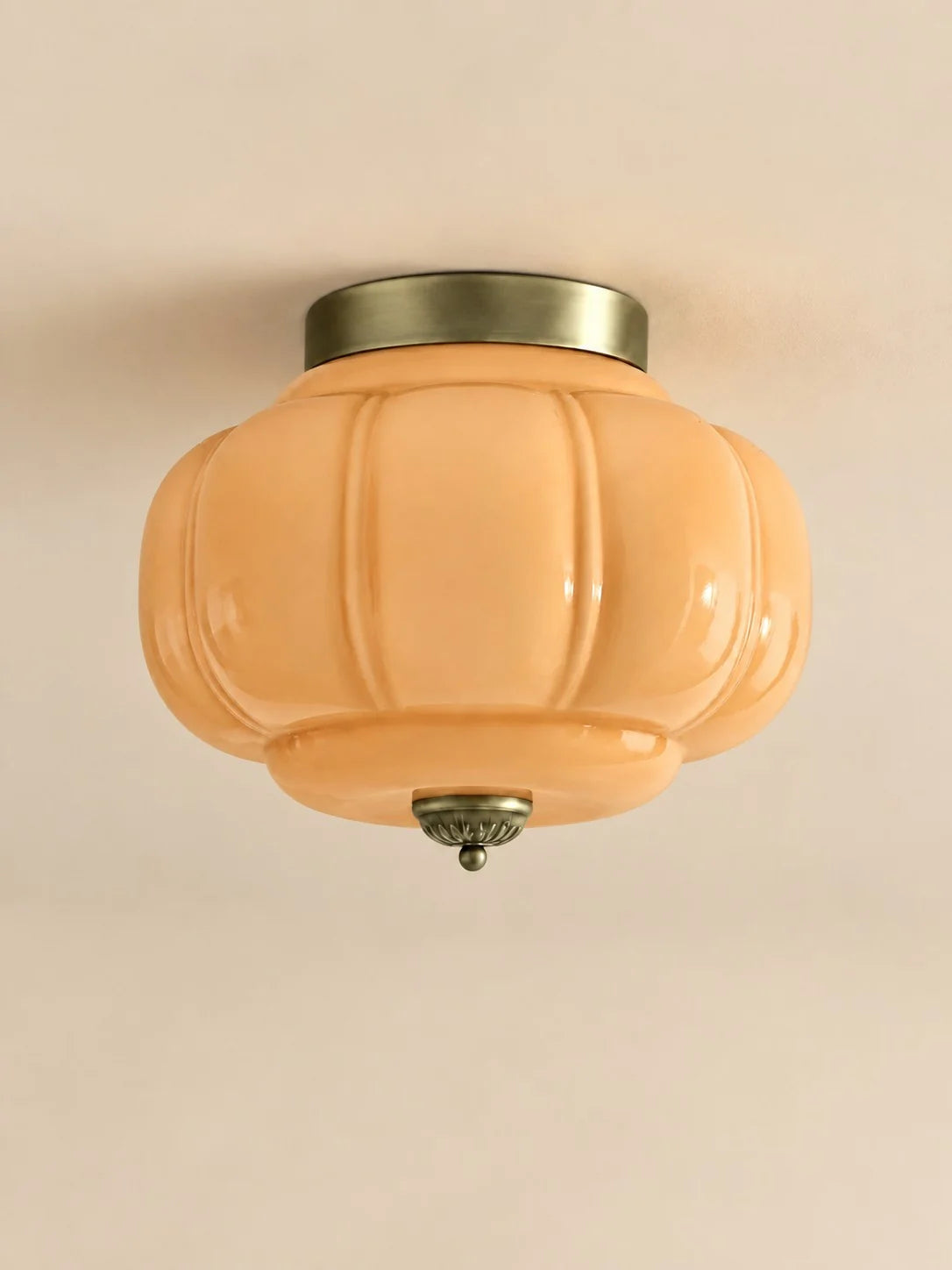 Elegant Modern Flush Mount Ceiling Light Fixture