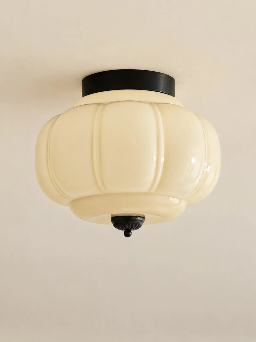Elegant Modern Flush Mount Ceiling Light Fixture