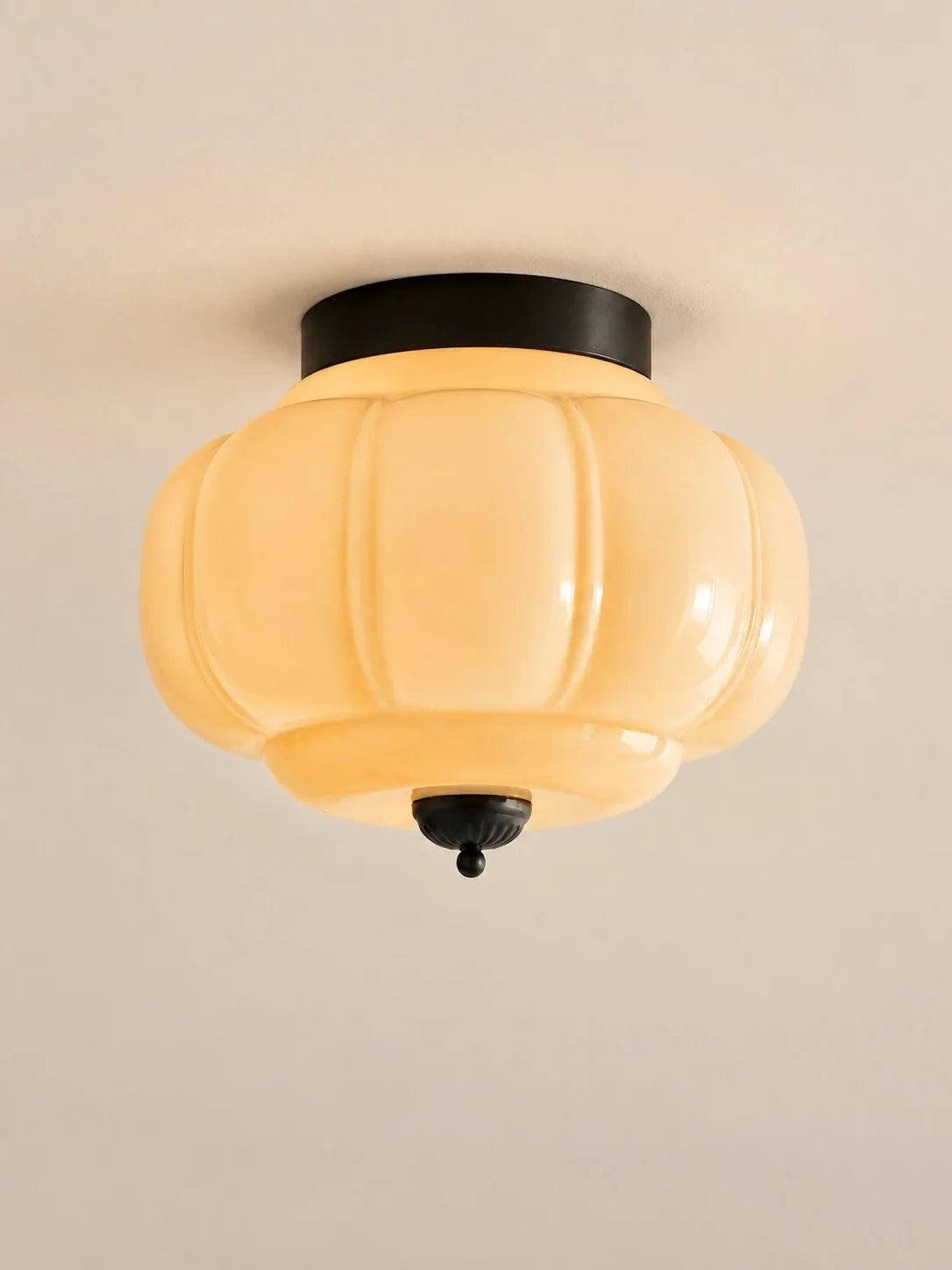 Elegant Modern Flush Mount Ceiling Light Fixture