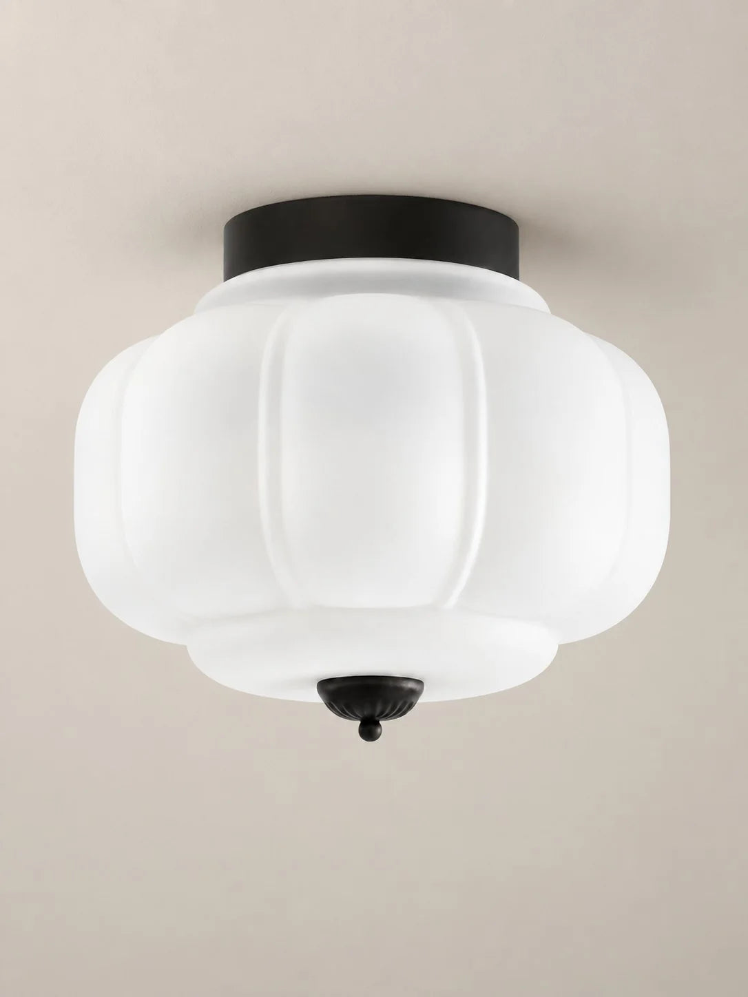 Elegant Modern Flush Mount Ceiling Light Fixture