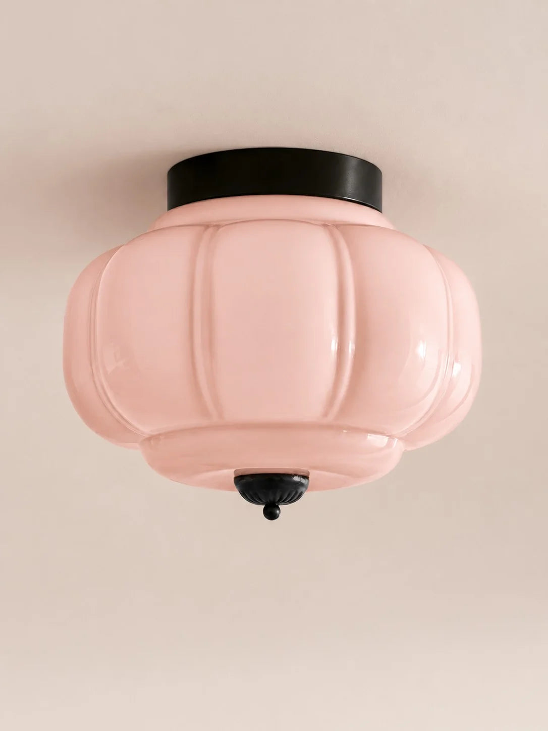 Elegant Modern Flush Mount Ceiling Light Fixture