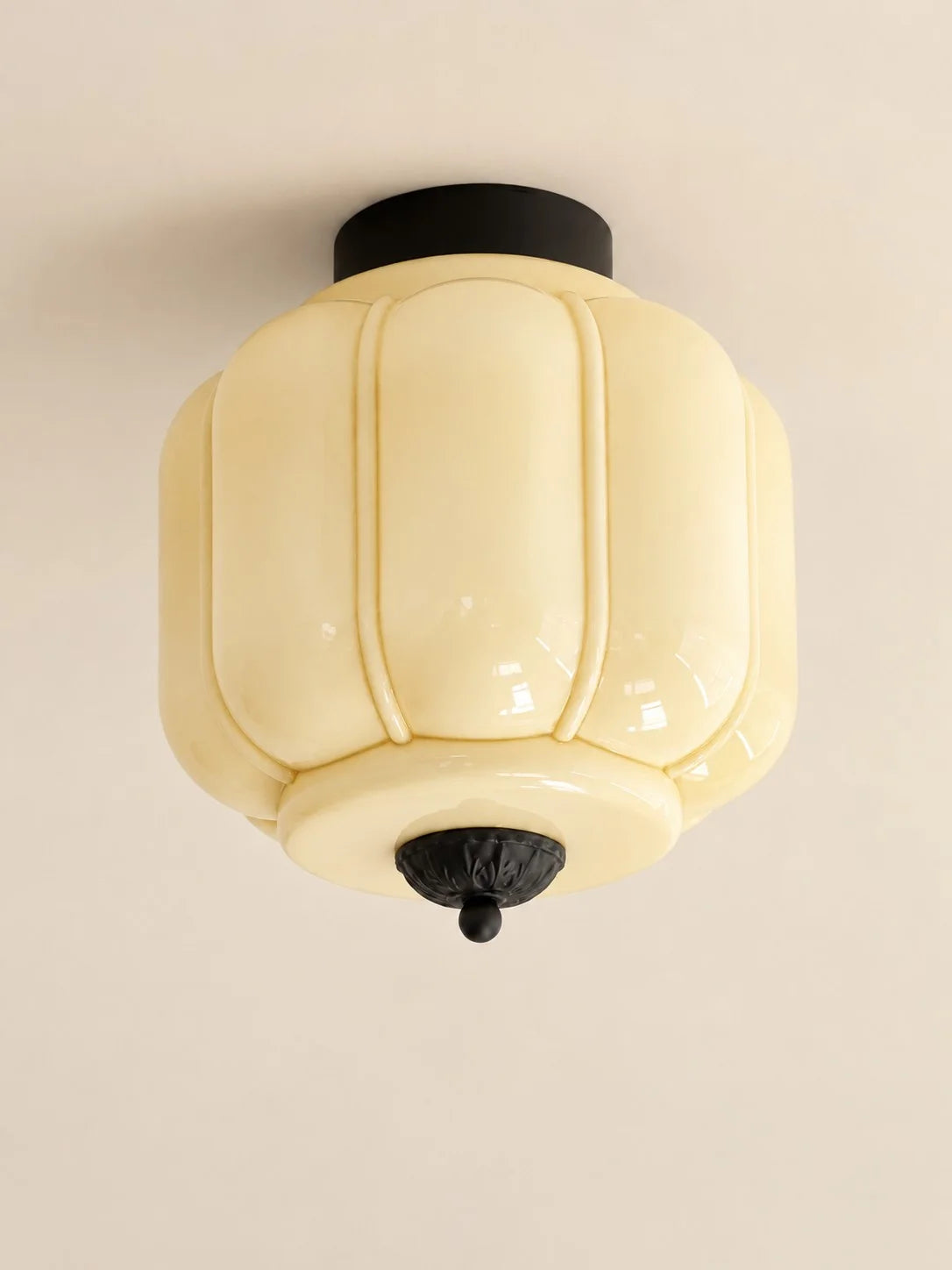 Elegant Modern Flush Mount Ceiling Light Fixture